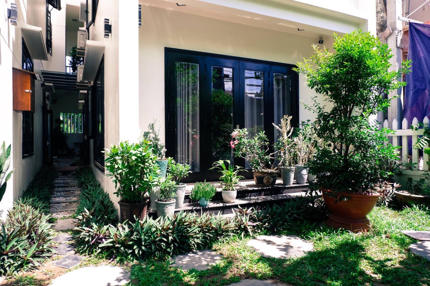 Hội An Succulent Homestay - Homestay Hoa Đá với view chụp hình thơ mộng