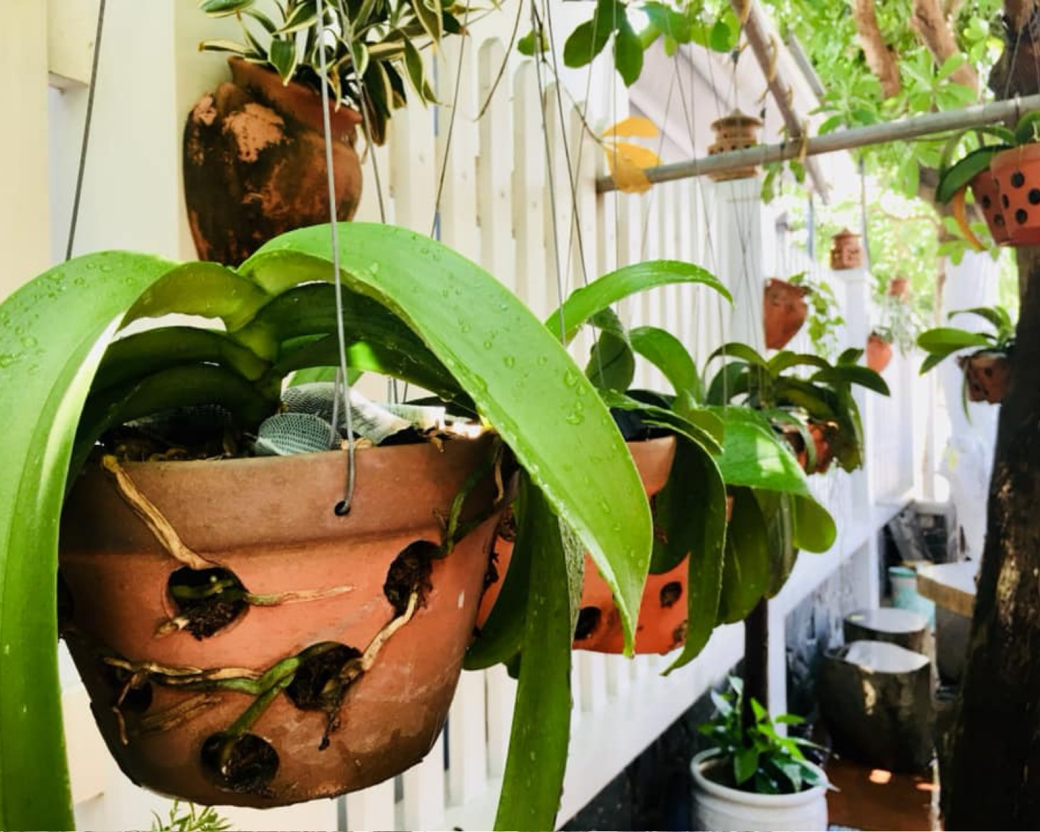 Halo Homestay - Homestay bình dị giữa lòng phố cổ Hội An