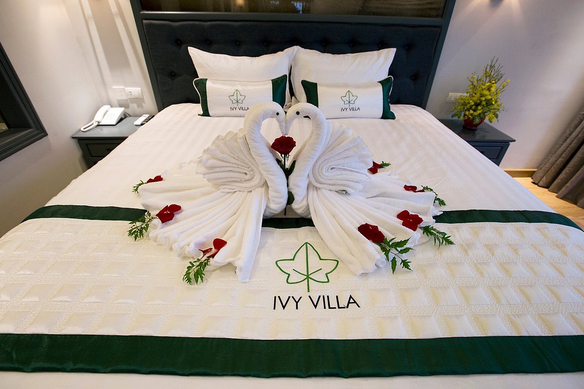 Ivy Villa Hoi An - Khu nghỉ dưỡng Hội An đẳng cấp 2 sao
