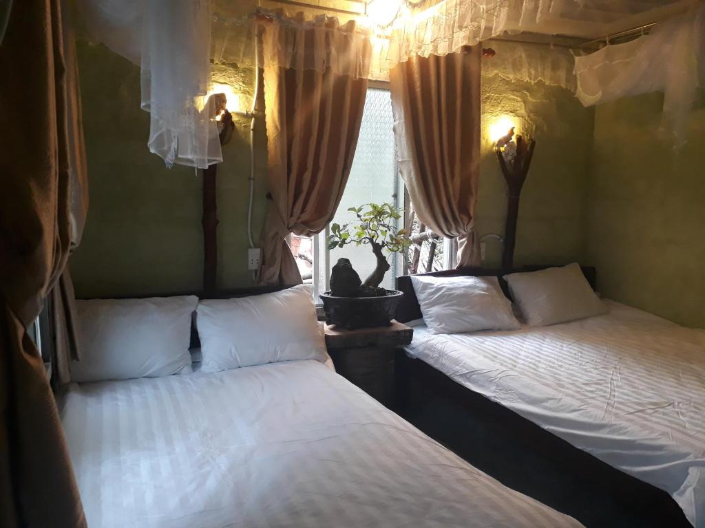 Homestay Bãi Hương - Homestay dân giã nằm nép mình yên bình bên đảo Cù Lao Chàm