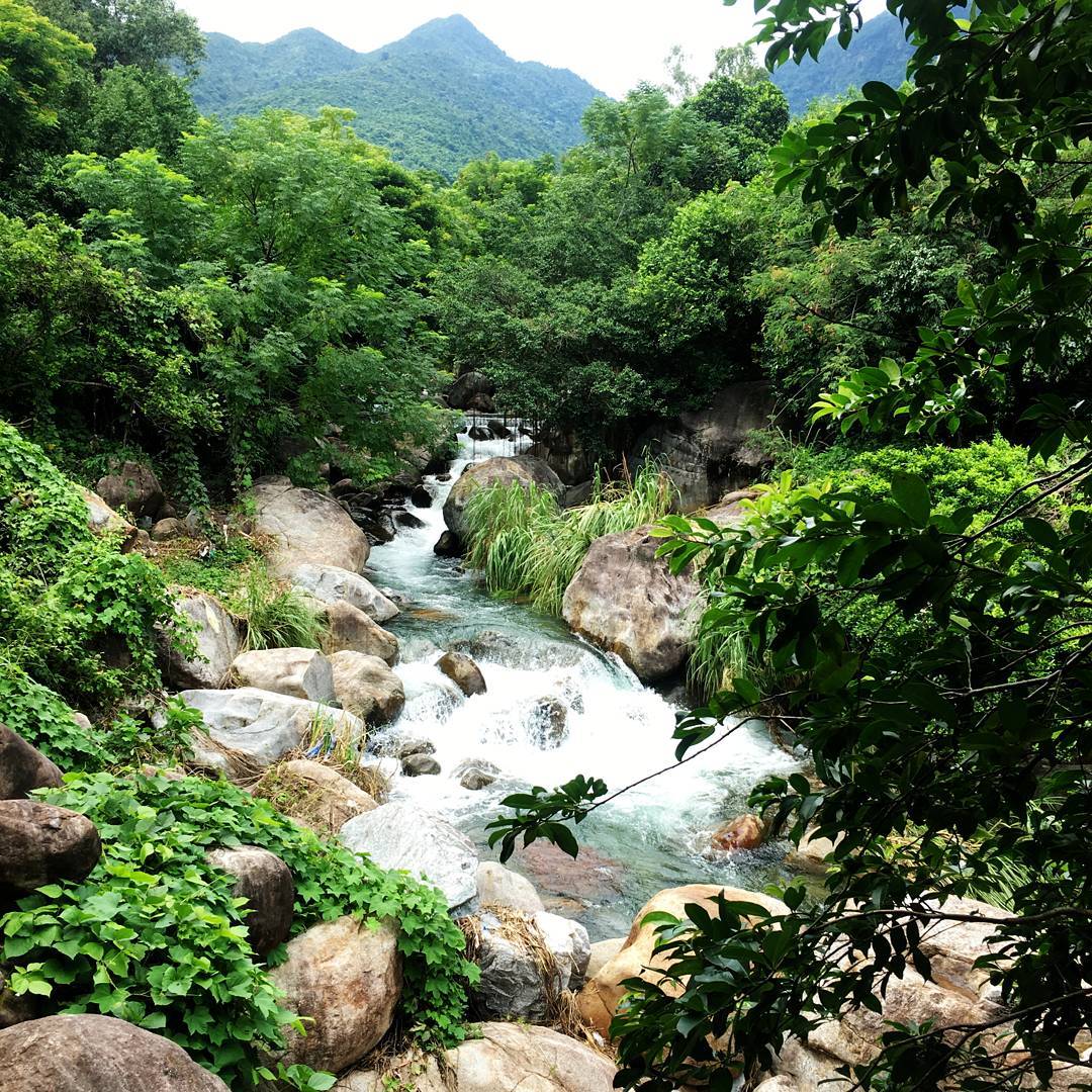 Khu du lịch Suối Lương Đà Nẵng – Vẻ đẹp trữ tình nên thơ dưới chân đèo Hải Vân